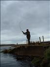Nick Clasper in full swing at the top end of the Mire Pool, Beat 8, spring 2010.